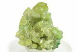 Lustrous Vesuvianite Crystal Cluster - Jeffrey Mine, Canada #284508-1